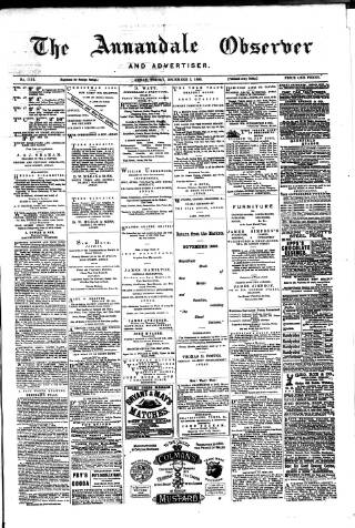 cover page of Annandale Observer and Advertiser published on December 3, 1880