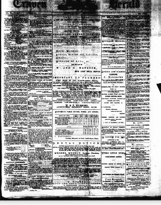 cover page of Craven Herald published on June 2, 1877
