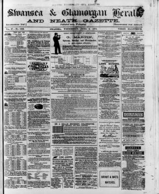 cover page of Swansea and Glamorgan Herald published on June 2, 1875