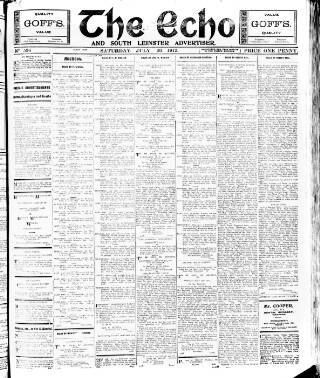 Enniscorthy Echo and South Leinster Advertiser in British Newspaper Archive